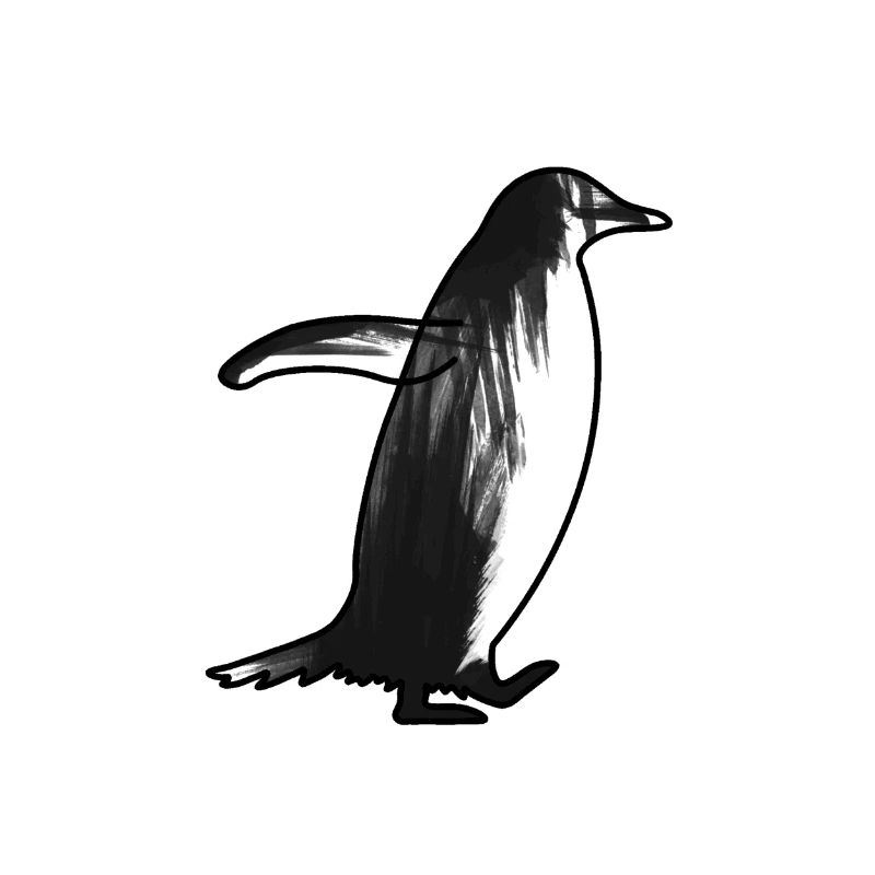 Pinguin Pinguin (gentoo)