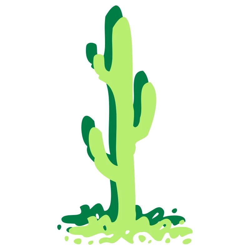 Cactus cactus cactus