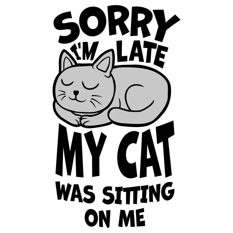 désolé chat était assis