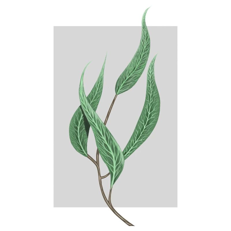 planter