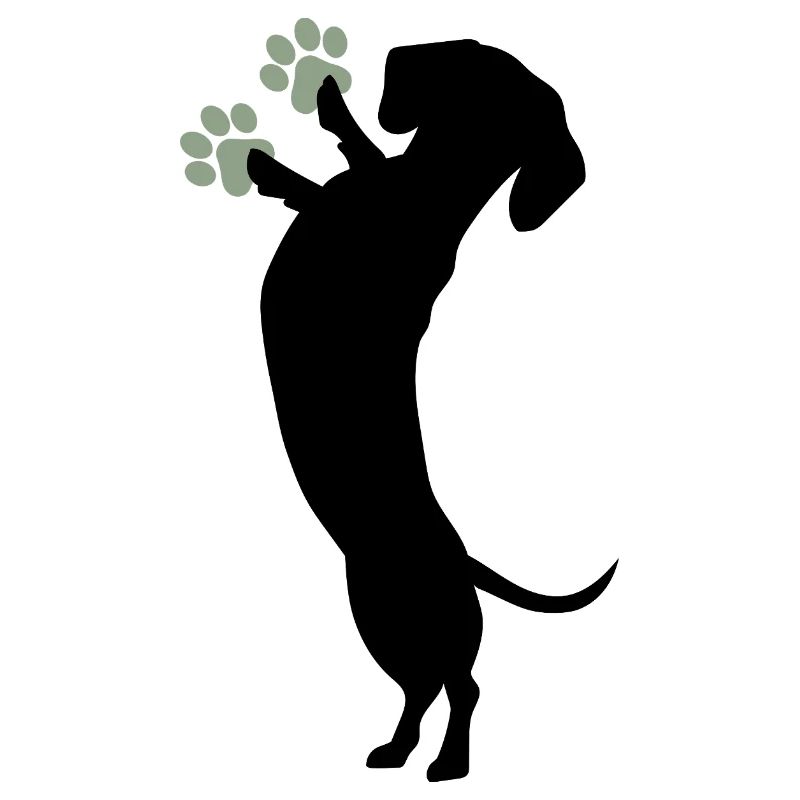 Adorable design de silhouette de teckel