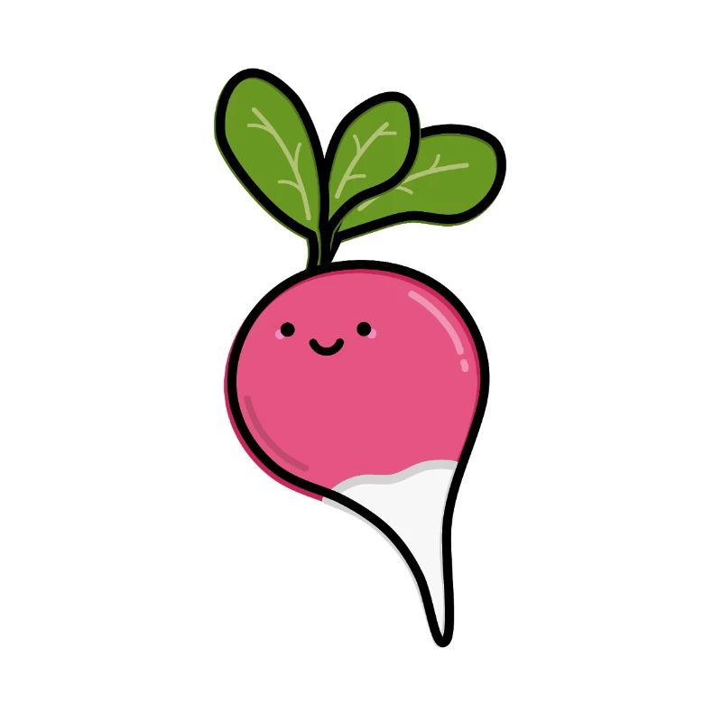 Radis mignon