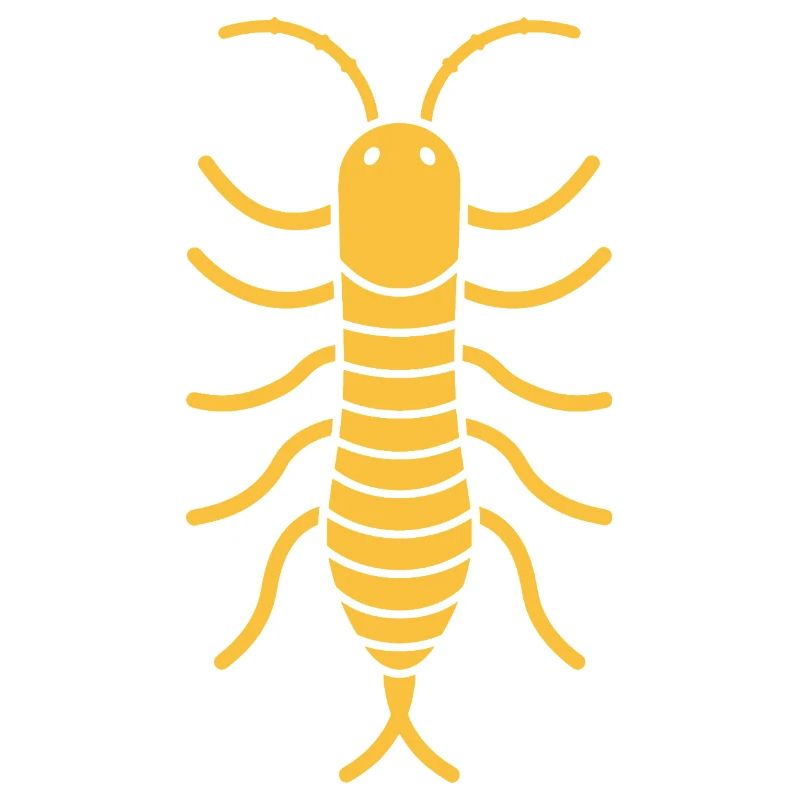 centipede