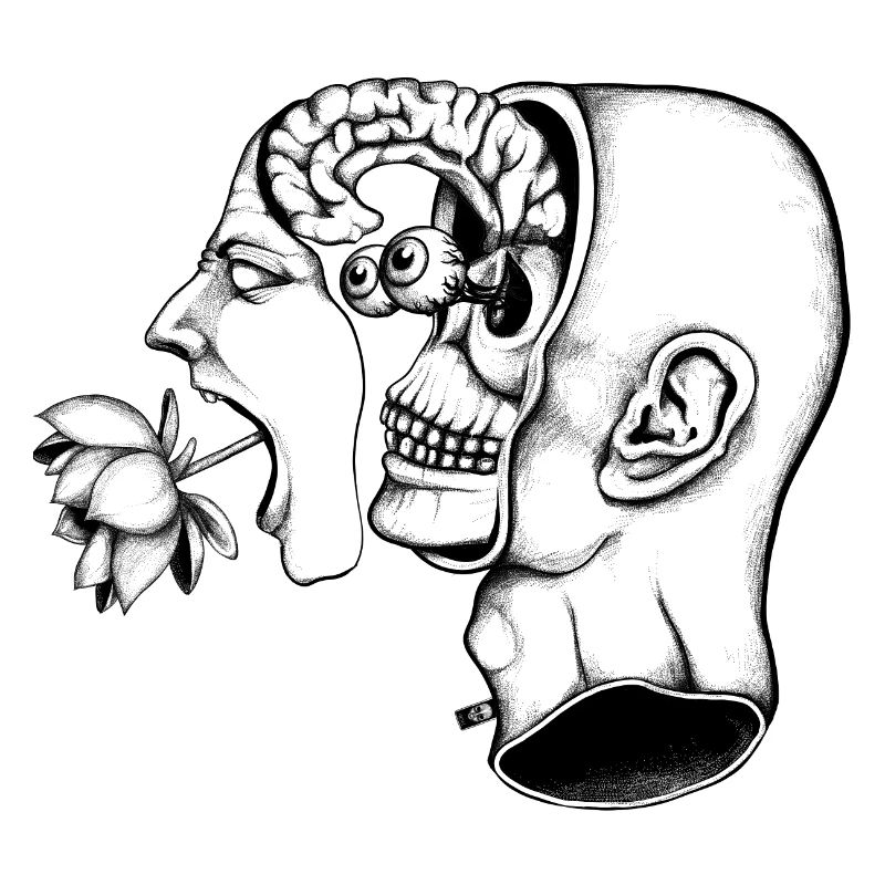 Split Screaming Head