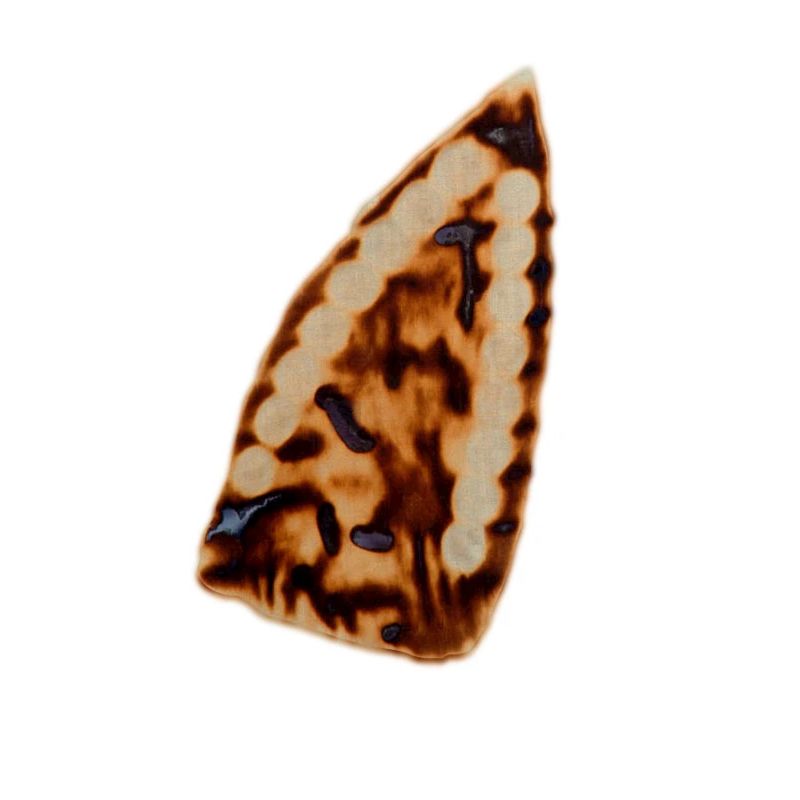 Funny iron fireprint failed