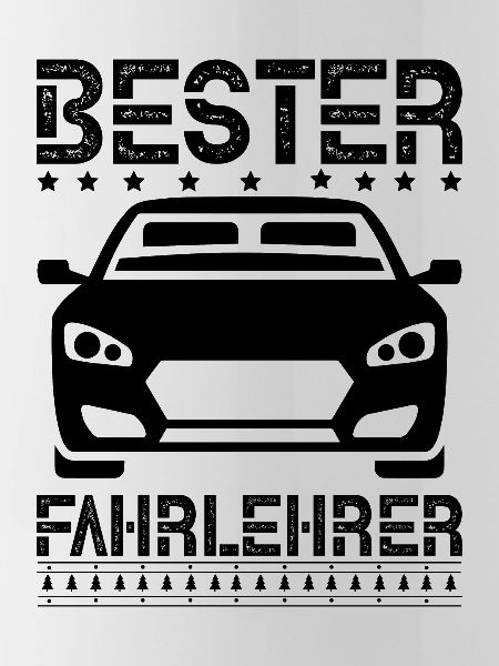 Fahrlehrer
