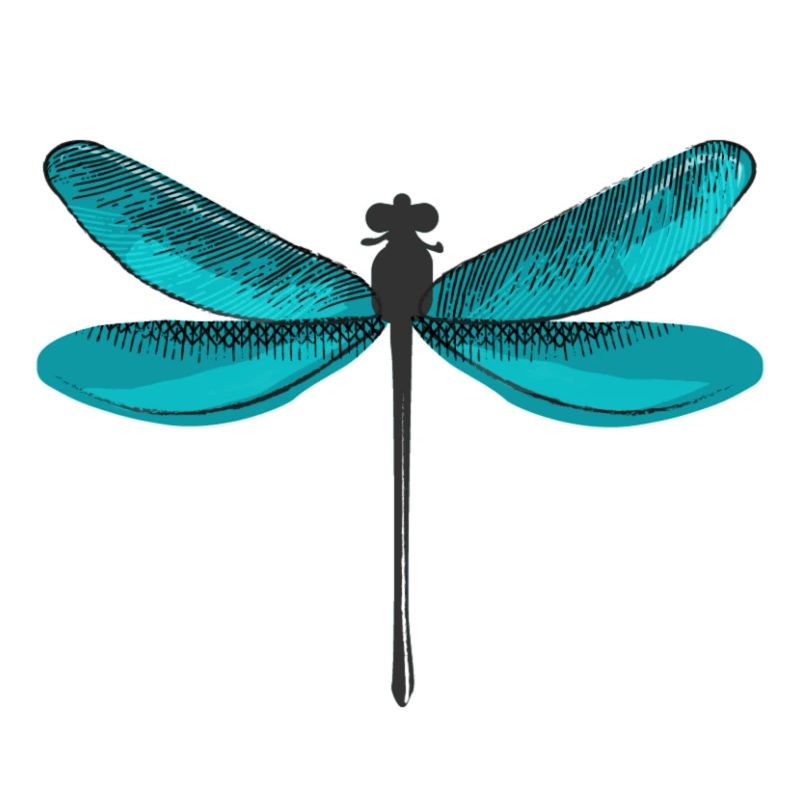 libellule