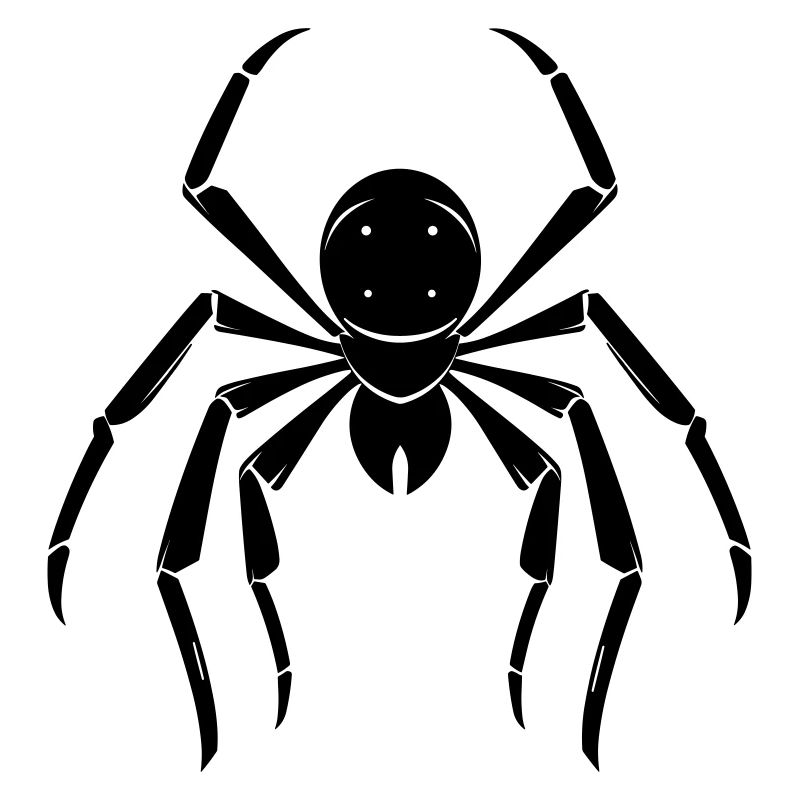Spiders