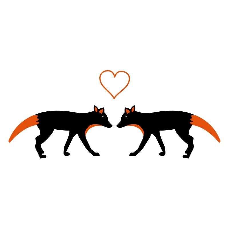 Renards amoureux