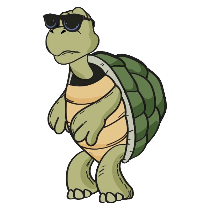 Turtle