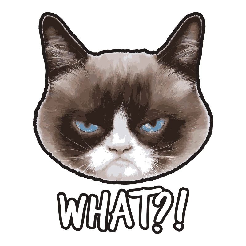 Grumpy Cat What?