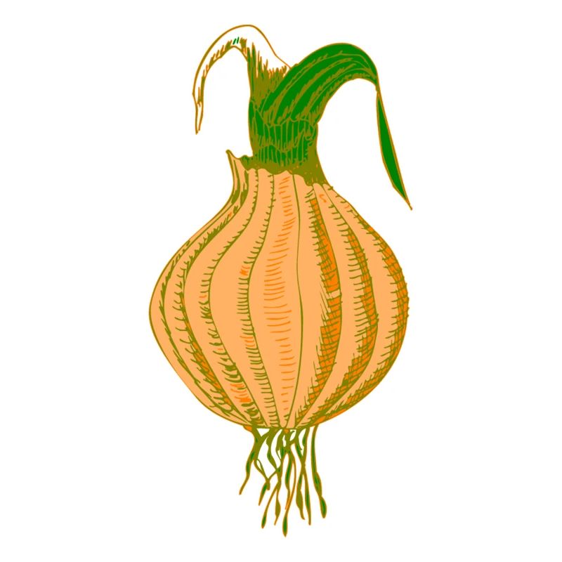 onion