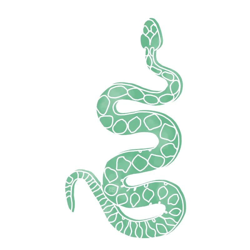 "Snake", boho line art design, series "Desert"