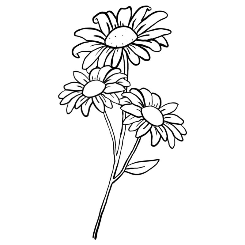 Gänseblümchen / Daisy