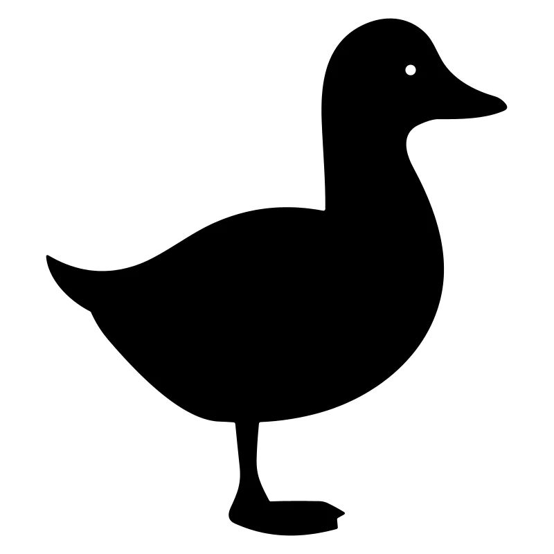 Canard