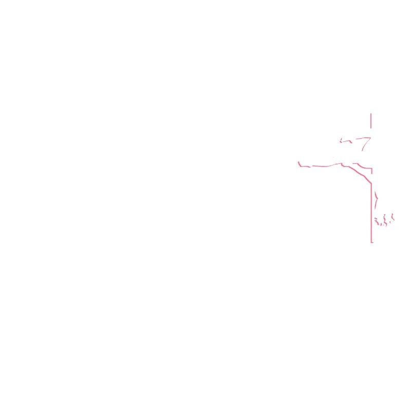 Poledancing Pole Dance Evolution