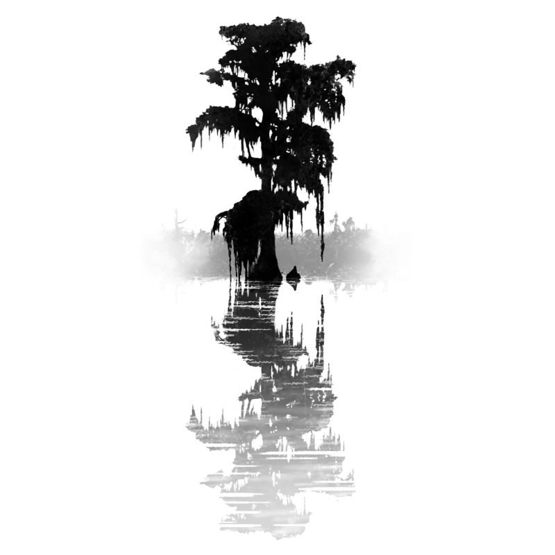 bald cypress