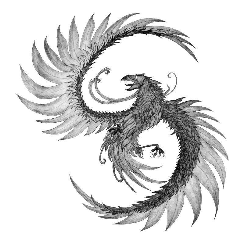 Phoenix de ses cendres