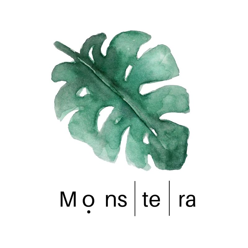 Monstera