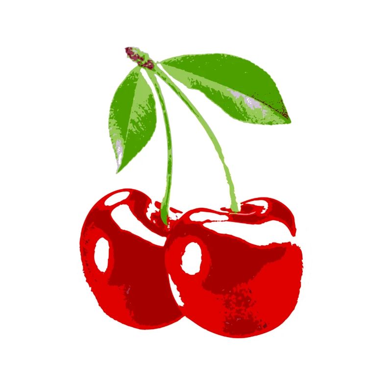 Cherry cherry fruit harvest