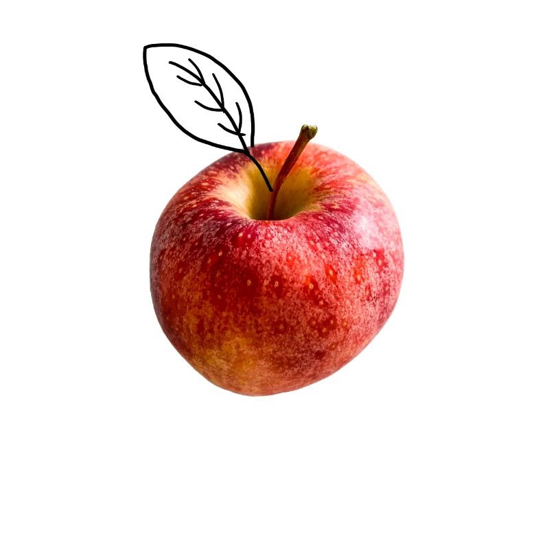 Apple leaf