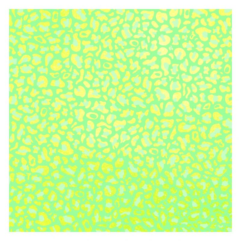 Leopard Pattern | Leopard Print | African Animal