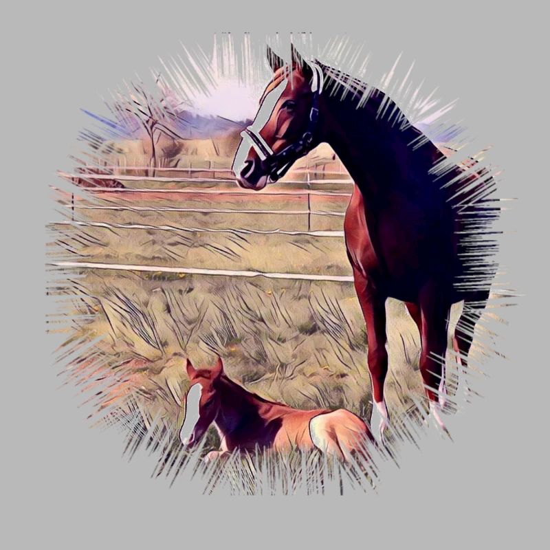 Cheval