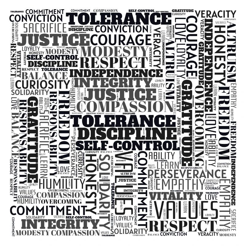 VALUES