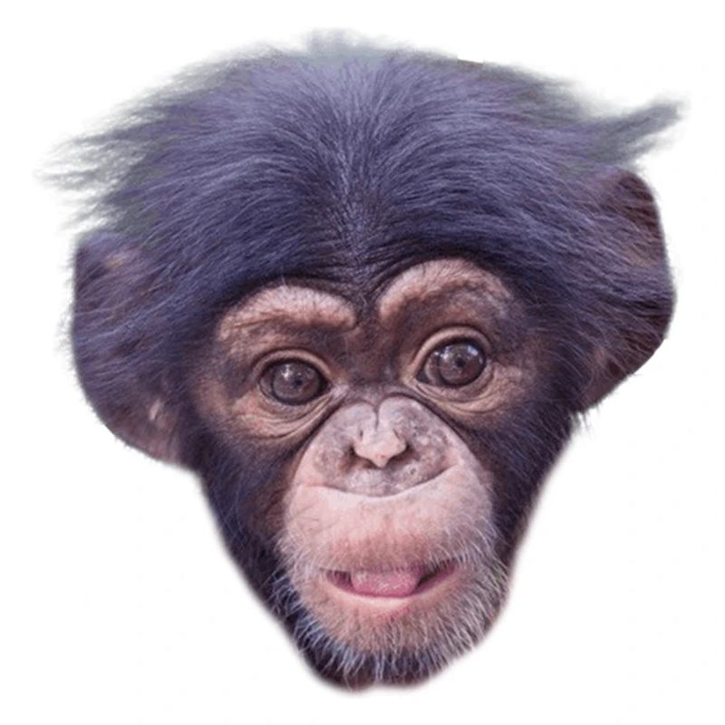 Mode de visage de singe mignon