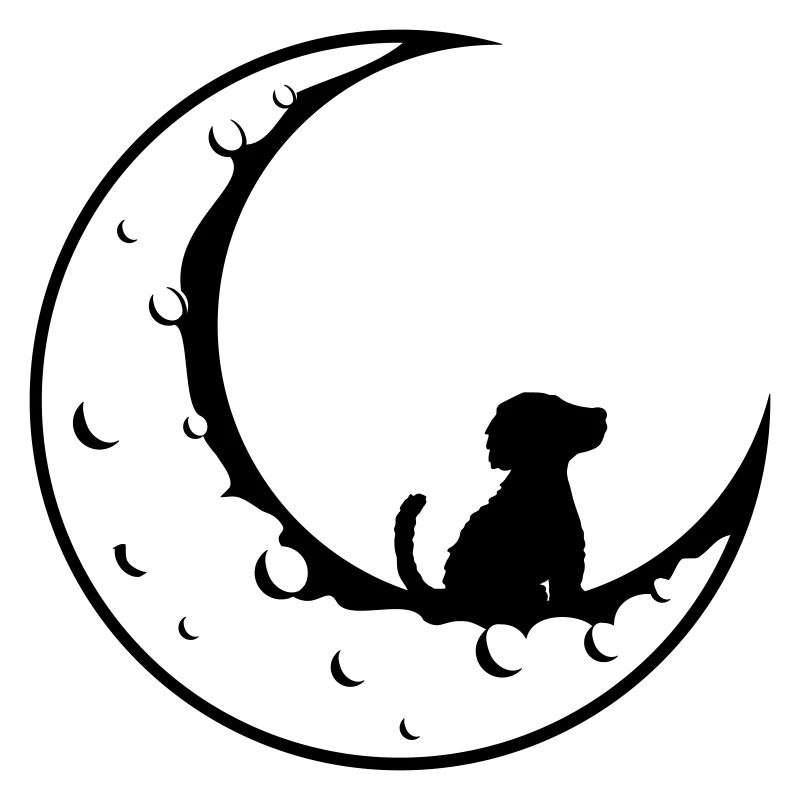 Cher chien de lune s’assoit