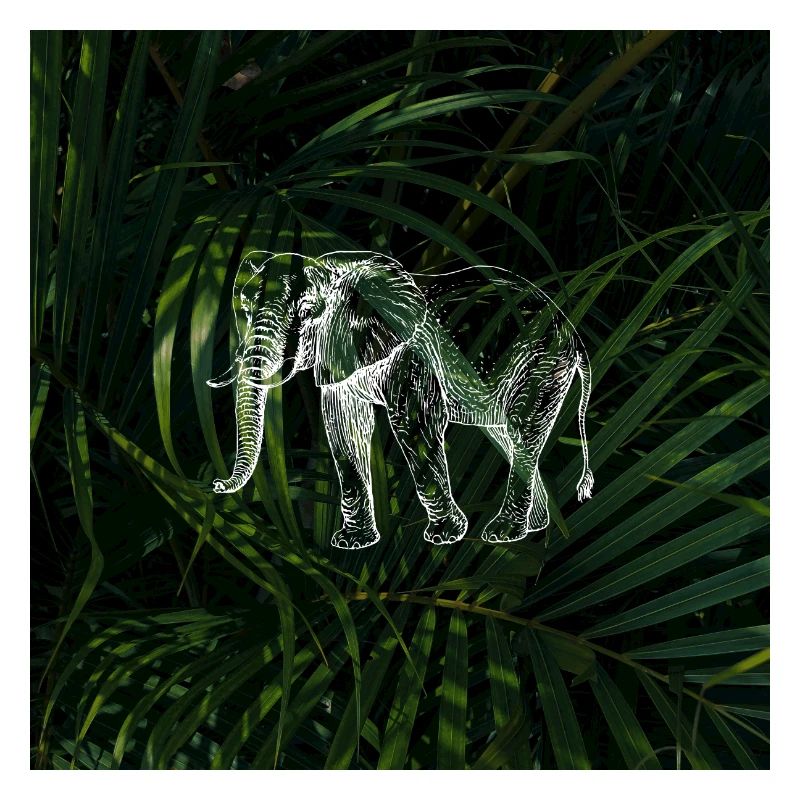 Conception d’éléphant