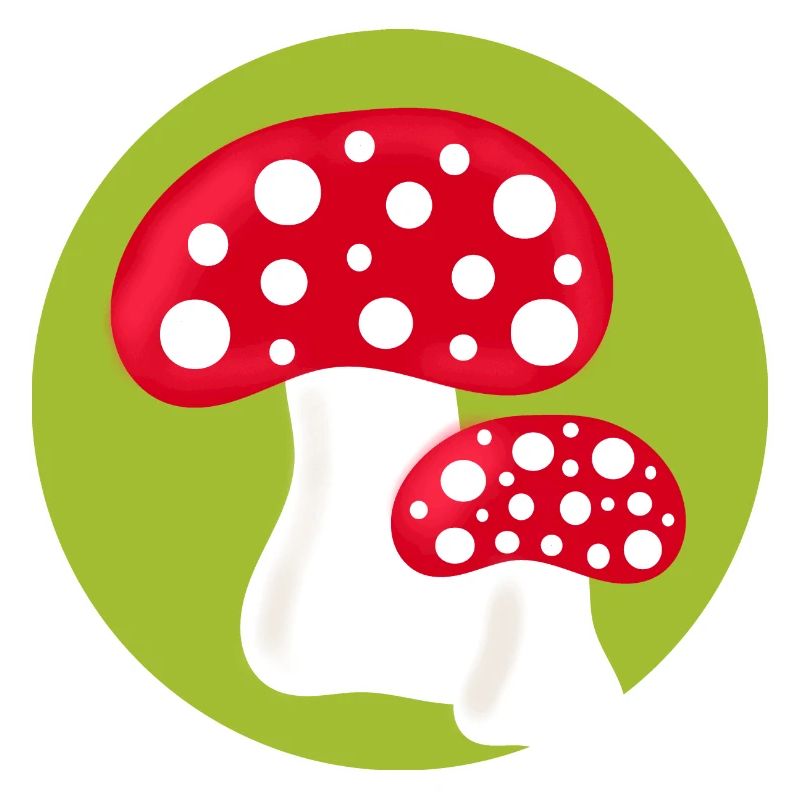 Toadstool, mushroom in the woods gift