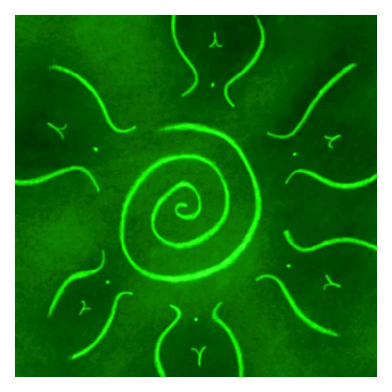 SOLEIL VERT