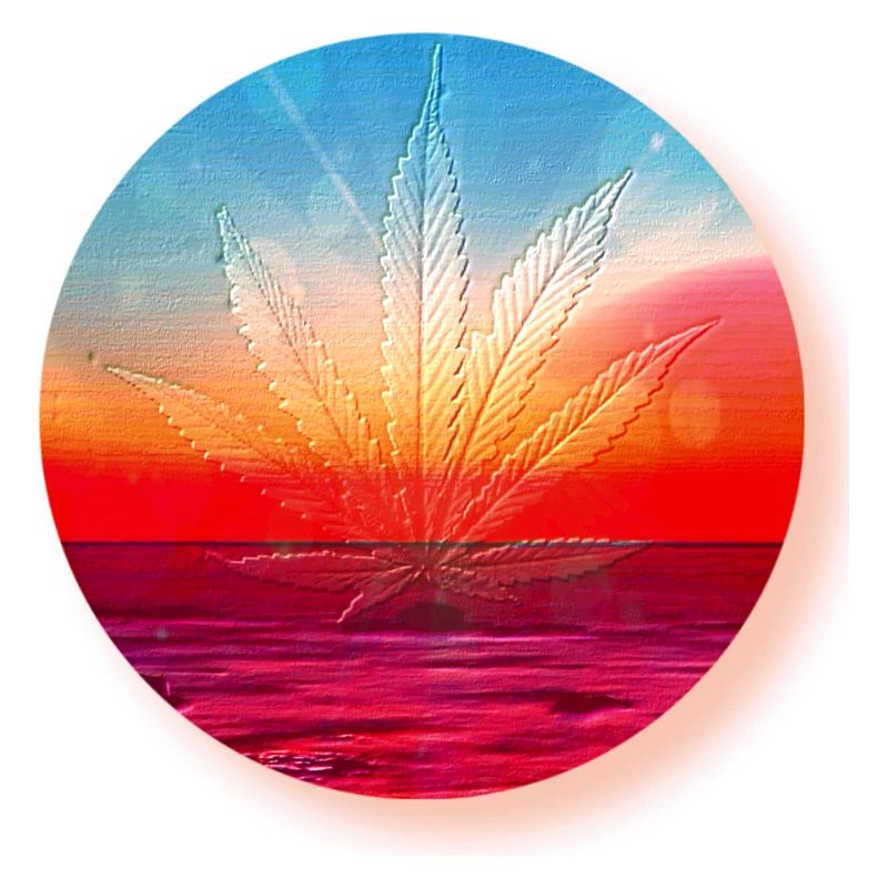 Hemp leaf before sunset