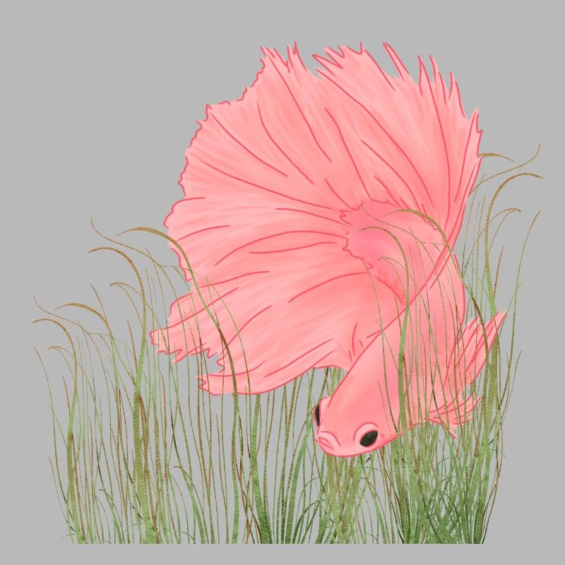 Betta Splendense Halfmoon Left Deep Pink