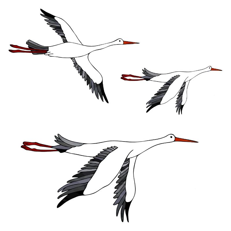 Storks