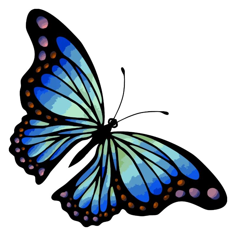 Papillon