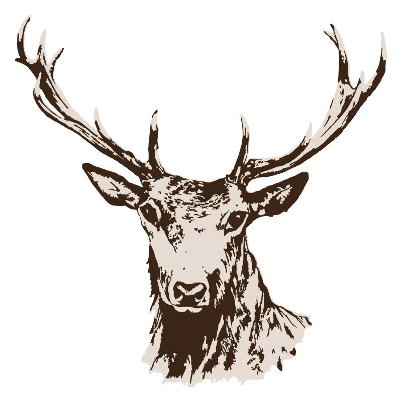 Hirsch
