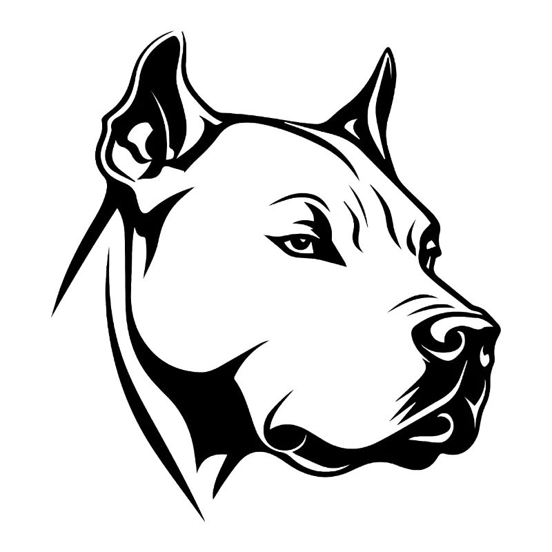 Pitbull