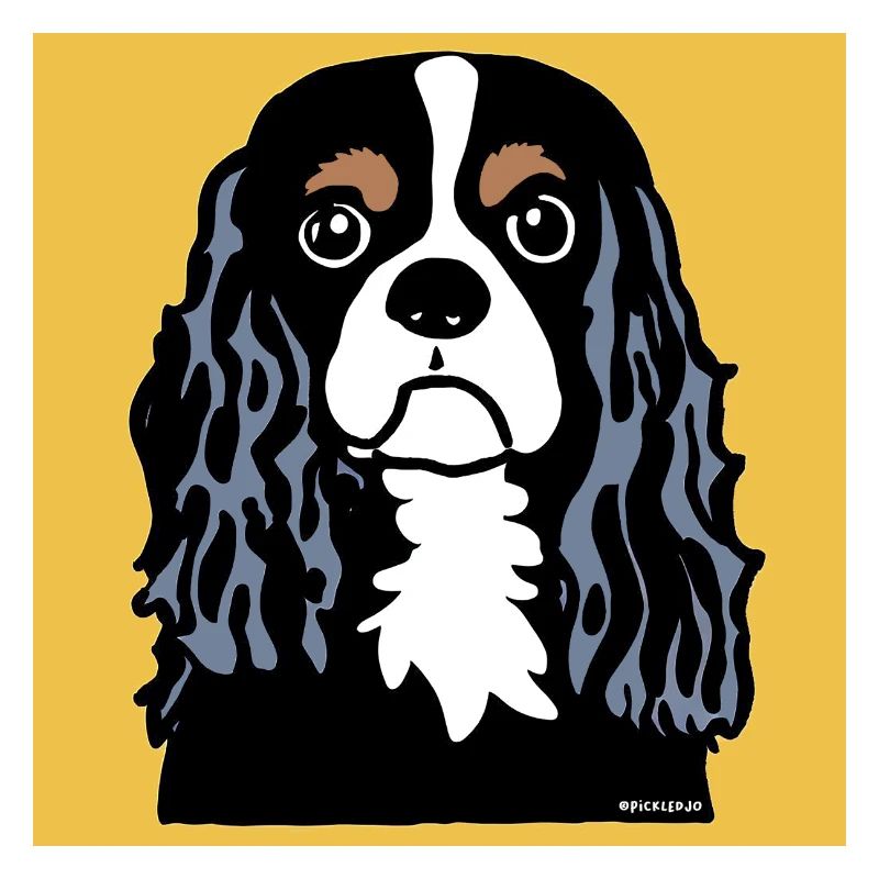 Cavalier King Charles Spaniel Doodle