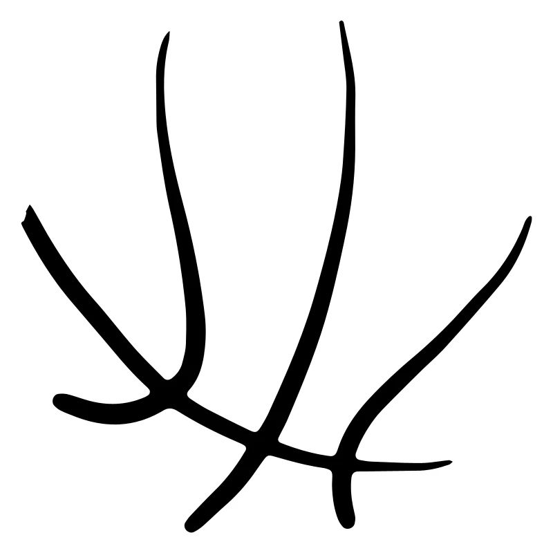 Basket-ball 45