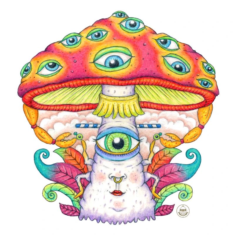 Trust the Universe, Mushroom, Toadstool