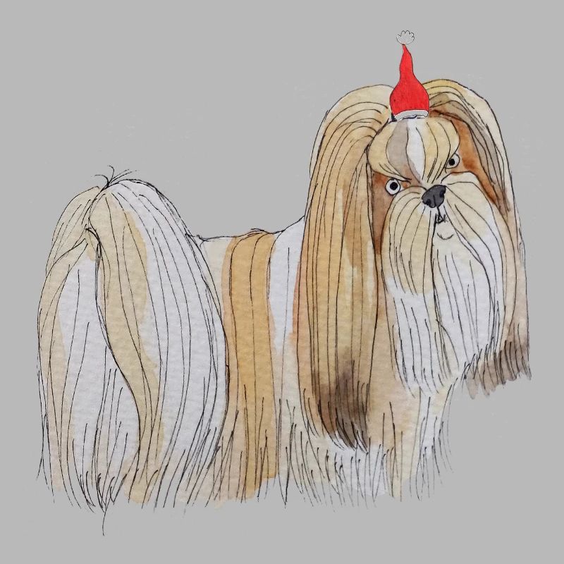 Noël à Lhassa Apso