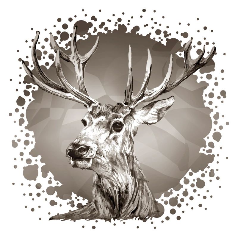 Hirsch