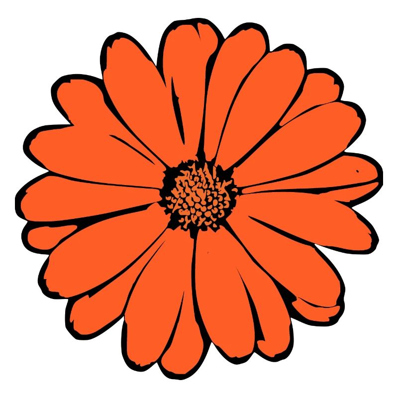 Lys, Fleur, Fleur, Oranges