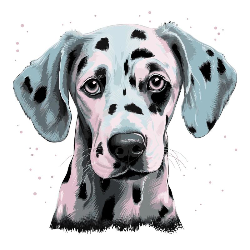 Dalmatien mignon