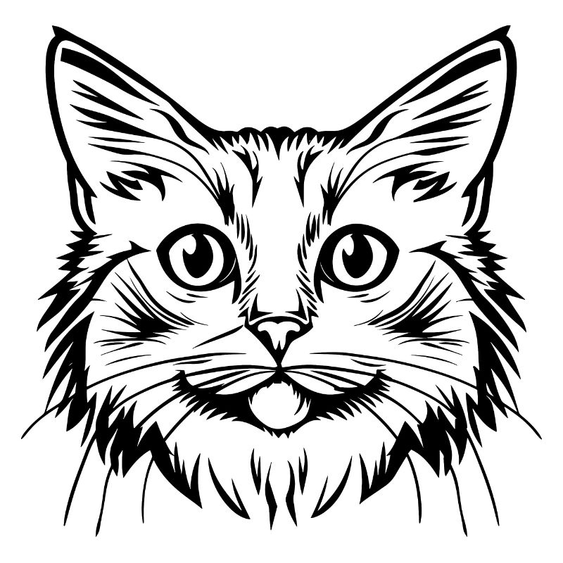Chat, Motif De Chat, Visage De Chat