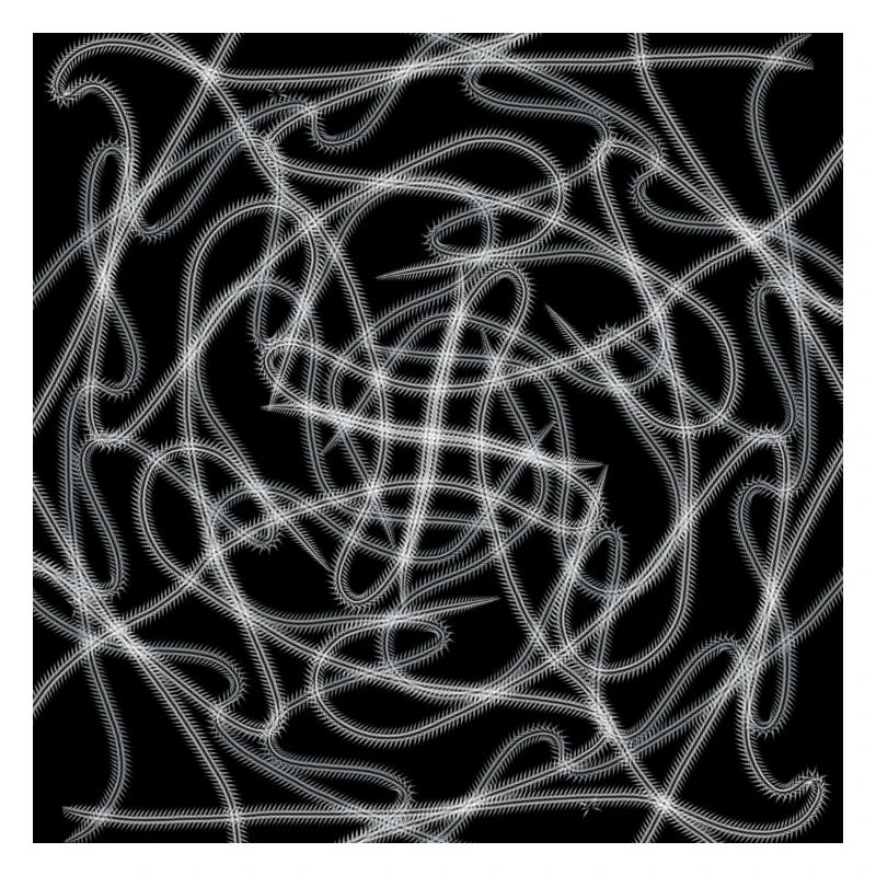 Black and White Abstract Design