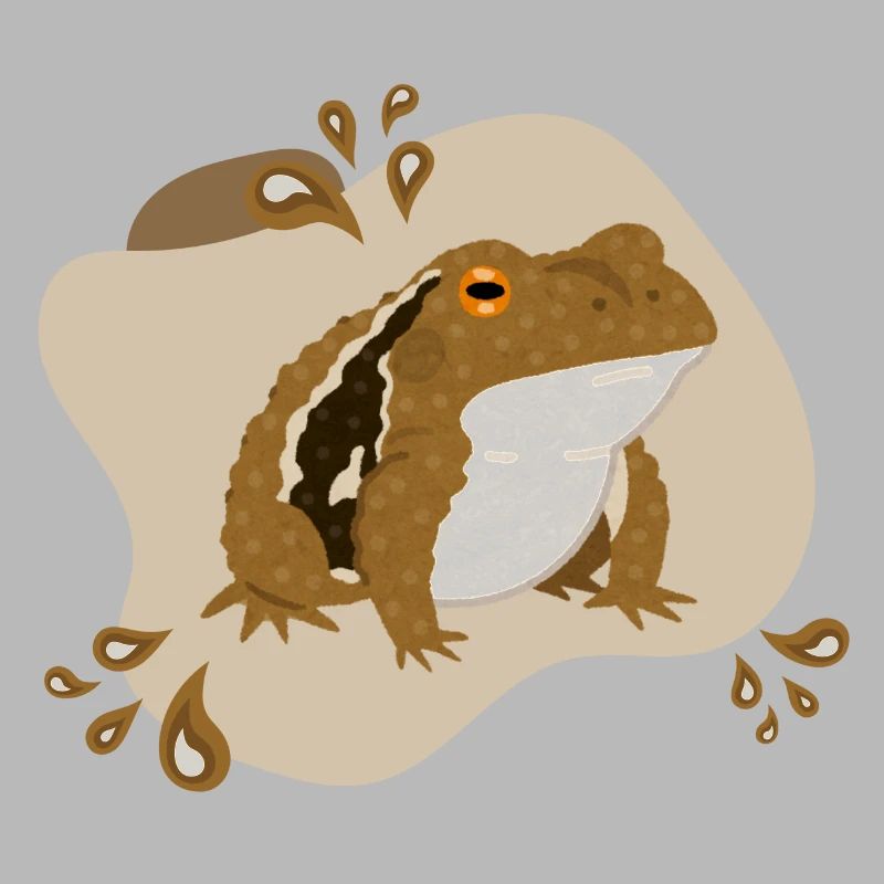 Crapaud