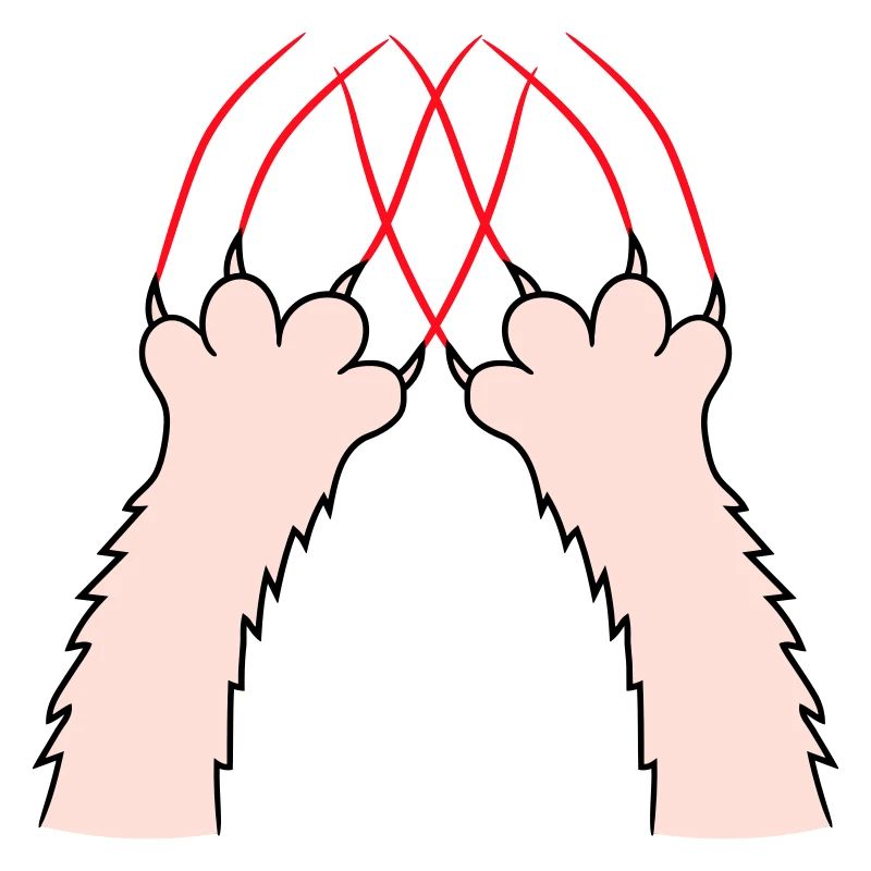 Chats, Griffes, Pattes, Pattes, Griffes, Griffures, Rayures